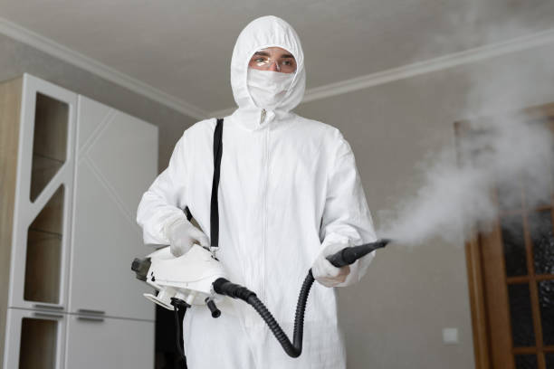 Professional Mold Inspection in West Dennis, MA